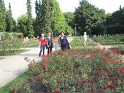 UTW Kutno img_1533.jpg